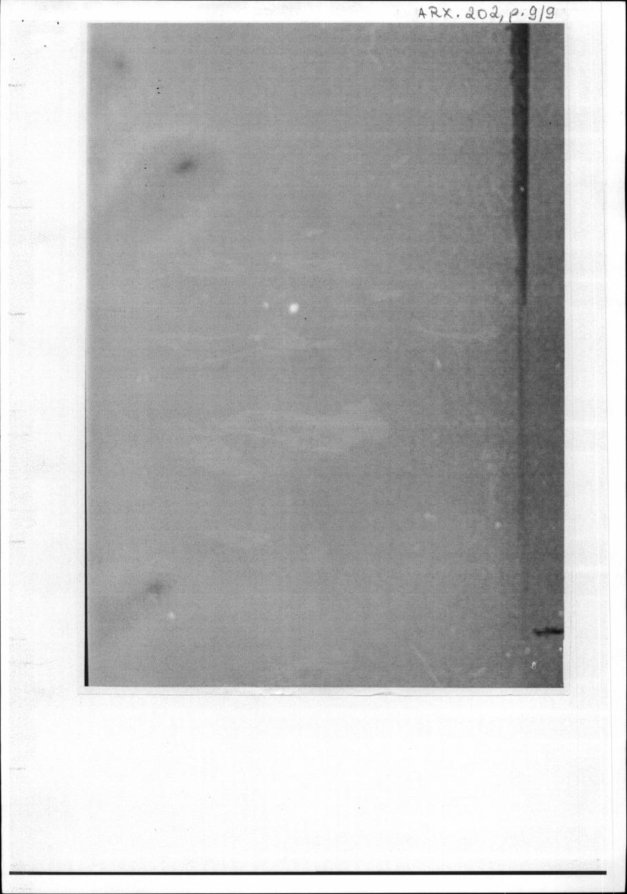 página do documento