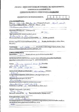 prévia do documento