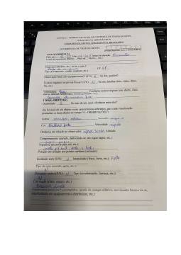 prévia do documento